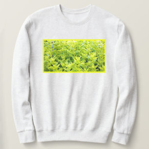 "Mint Plants" Cute Photo. Köp nu Lång Ärmad Tröja