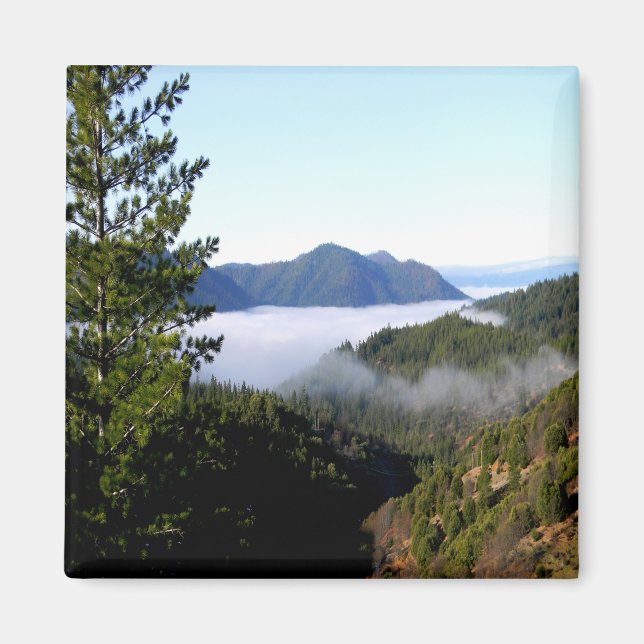 Mintar dimma...... magnet (Framsidan)