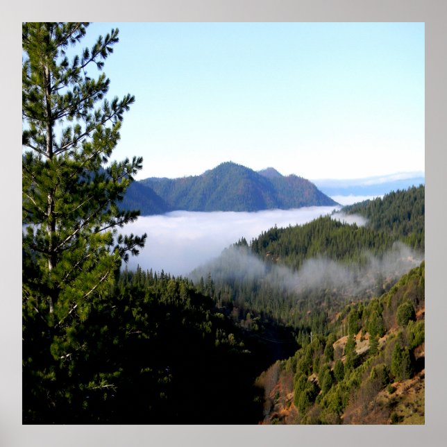 Mintar dimma..... poster (Framsidan)