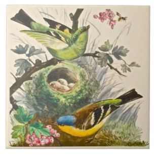 Minton Hand målade fågel Berries Sent 1800 s Rep Kakelplatta