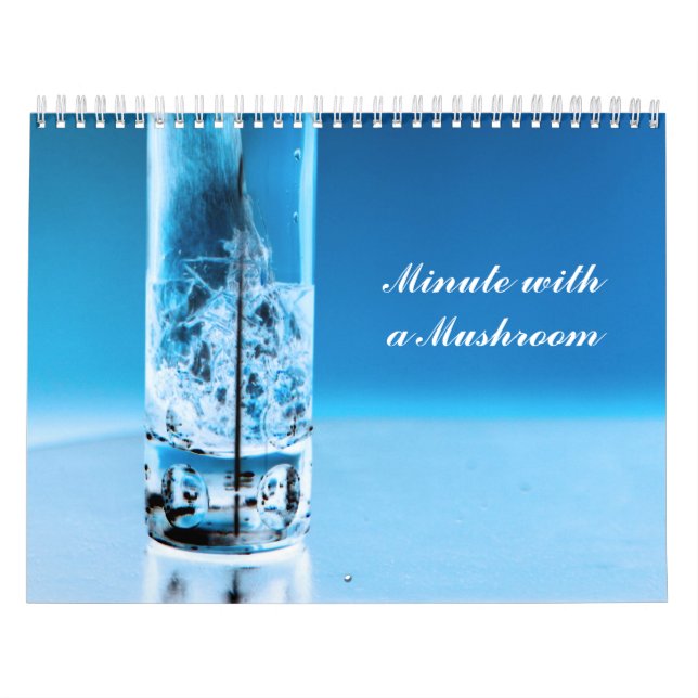 Minut med ett svamprum kalender (Omslag)