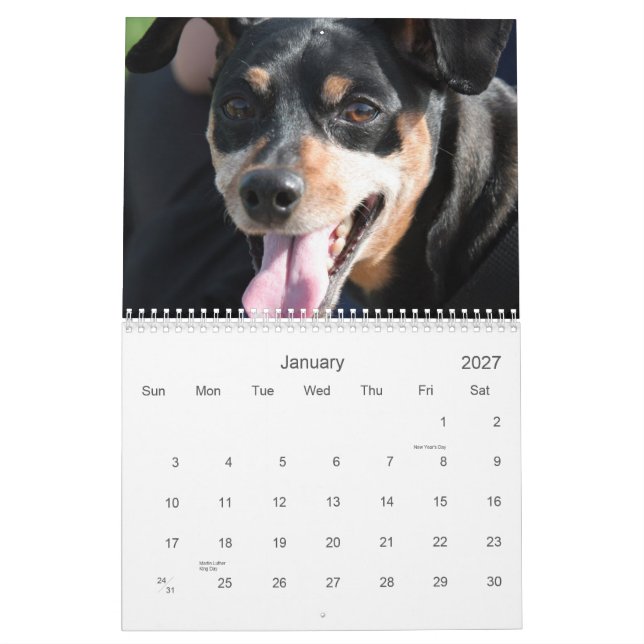 Minuten klämmer fast 2013 kalender (Jan 2027)
