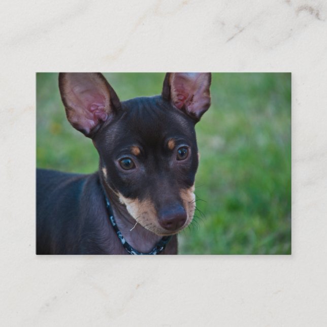 Minuten klämmer fast visitkortar visitkort (Framsida)