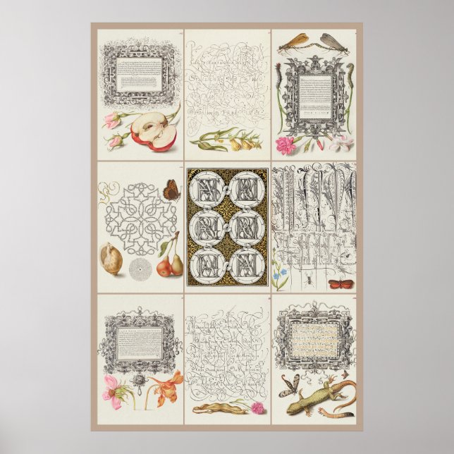 Mira Calligraae Monumenta 003 Poster (Framsidan)