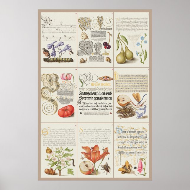 Mira Calligraae Monumenta 005 Poster (Framsidan)