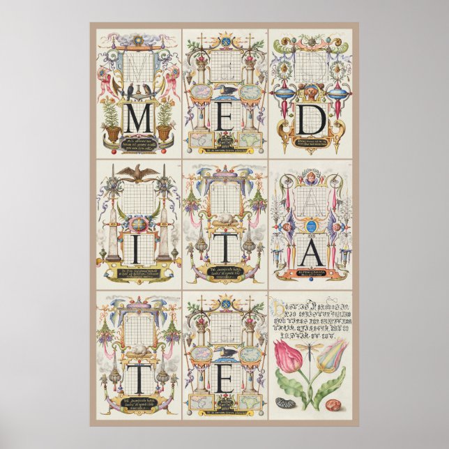 Mira Calligraae Monumenta Meditate Poster (Framsidan)