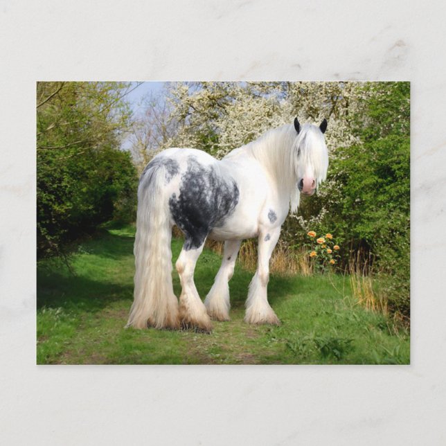 "Mirabeau" vykort (Framsida)