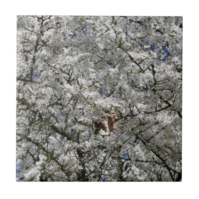 Mirabelle Blommar Ceramic Tile Kakelplatta (Framsidan)