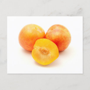 Mirabelle Plum Vykort