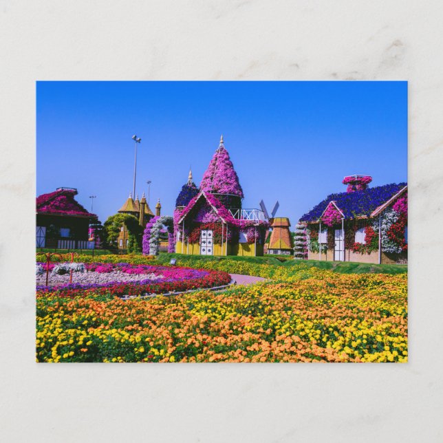 Miracle Garden, Dubai-blommigtar Vykort (Framsida)
