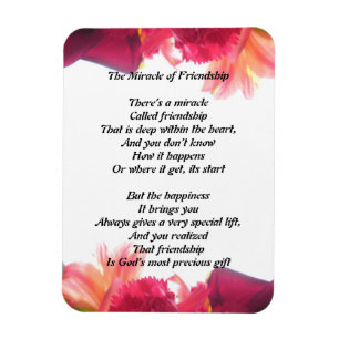 Miracle of Vänskap Magnet