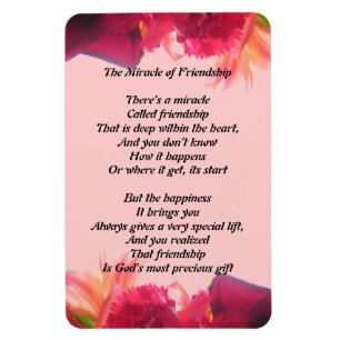 Miracle of Vänskap Magnet