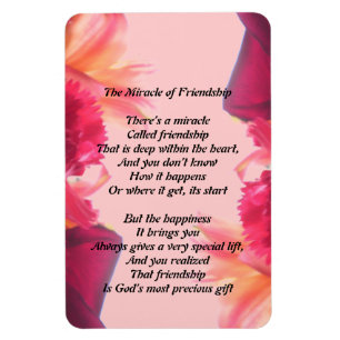 Miracle of Vänskap Magnet