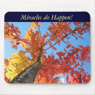 Miracles do Happen! musmatta Mirakel Hösträd