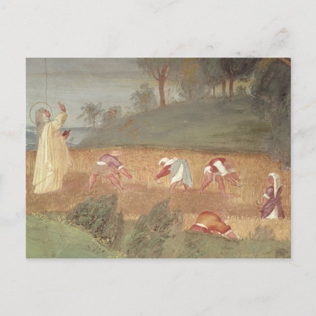 Miracles från St Clare of Assisi Vykort (Framsida)