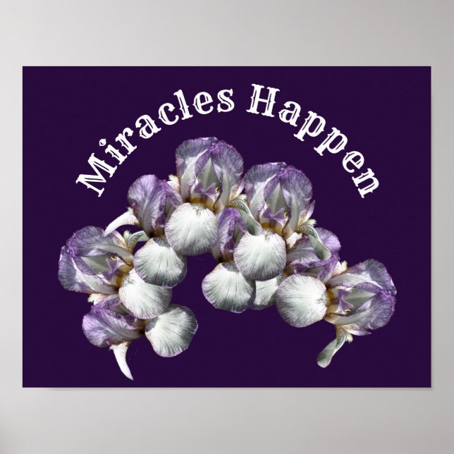 Miracles Happen Iris Flowers Inspirational Poster (Framsidan)