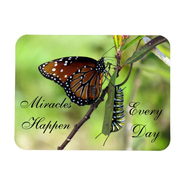 Miracles Happen Magnet (Horisontell)