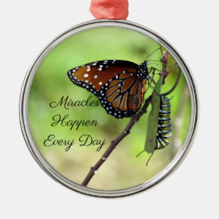 Miracles Ornament-Butterfly/Caterpelare - Julgransprydnad Metall