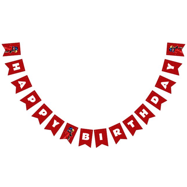 Miraculous Ladybug & Cat Noir Birthday Vimplar (Alla)