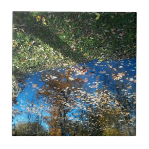 Miroir Spegel Autumn Tile Kakelplatta
