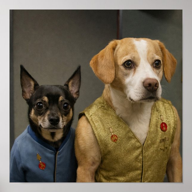 "Mirror, Mirror" Poster (Framsidan)