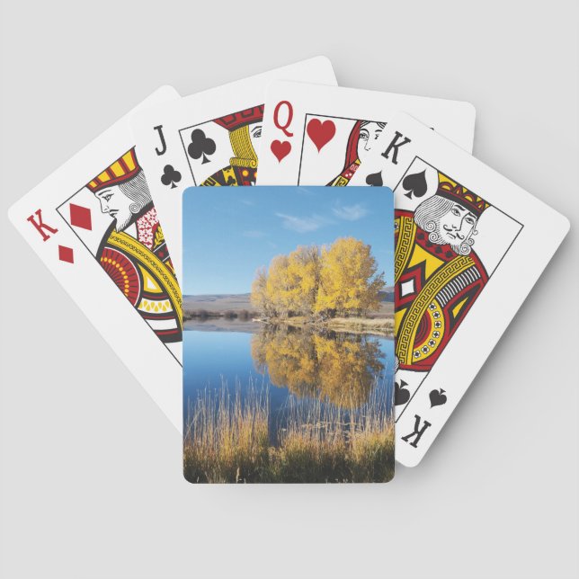 Mirror Pond Playing Cards Casinokort (Baksidan)