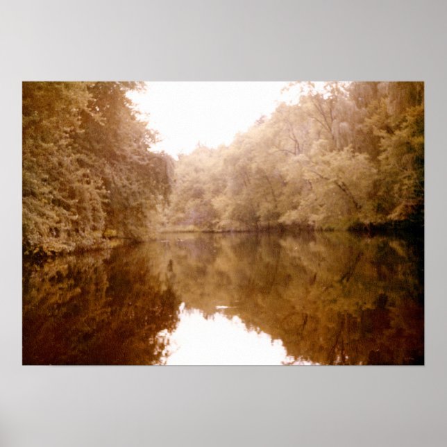 Mirrored Lakeview Poster (Framsidan)