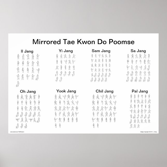 Mirrored Tae Kwon Do Poomse Poster (Framsidan)