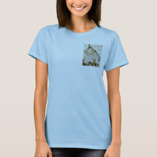 Mirus frestelse, T-tröja T-shirt