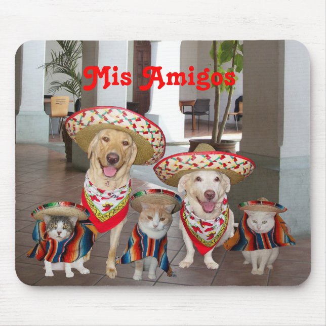 Mis-Amigos Musmatta (Framsidan)