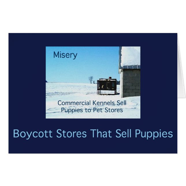 Misärkort Hälsningskort (Framsidan Horizontal)