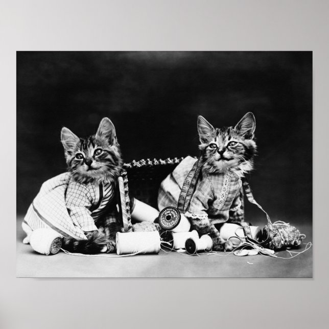 MisChief Makers - Harry Whittier Frees Poster (Framsidan)