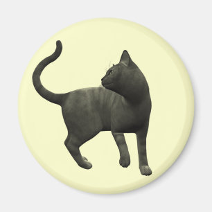 Mischievent Black Cat Magnet