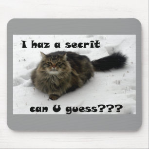 Mischievent Maine Coon i snö Musmatta