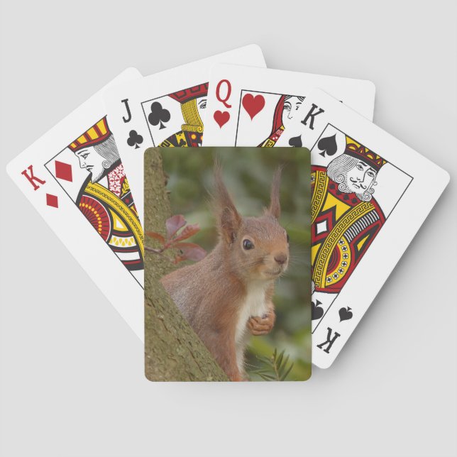 Mischievent Red Squirrel Casinokort (Baksidan)