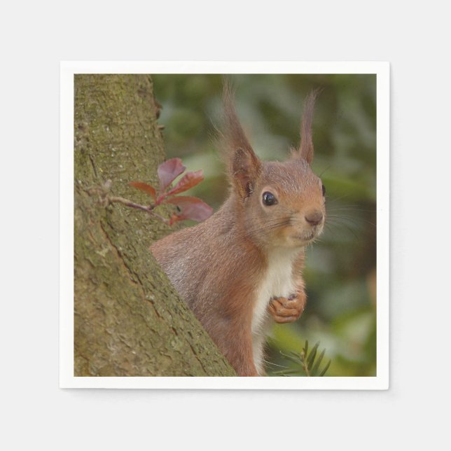 Mischievent Red Squirrel Pappersservett (Framsidan)