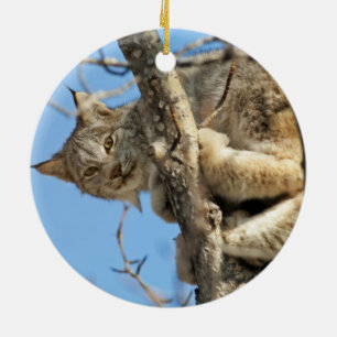 Mischievous Lynx Julgransprydnad Keramik