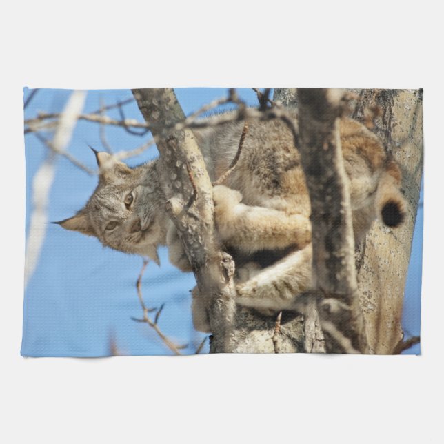 Mischievous Lynx Kökshandduk (Horisontell)