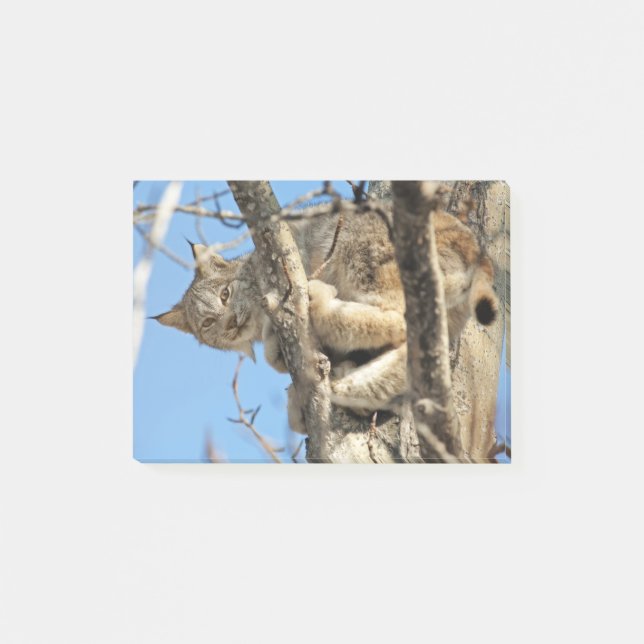 Mischievous Lynx Post-it Block (Framsida)