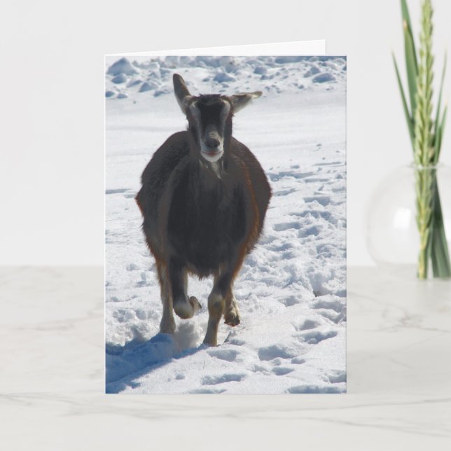 Misha med Roligt i Snö jul Helgkort (Framsida)