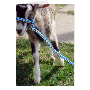 Misha the Goat Hälsningskort