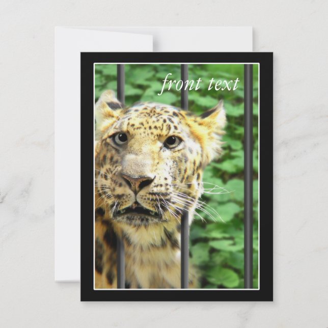 Mishap vid djurparken inbjudningar (Framsida)