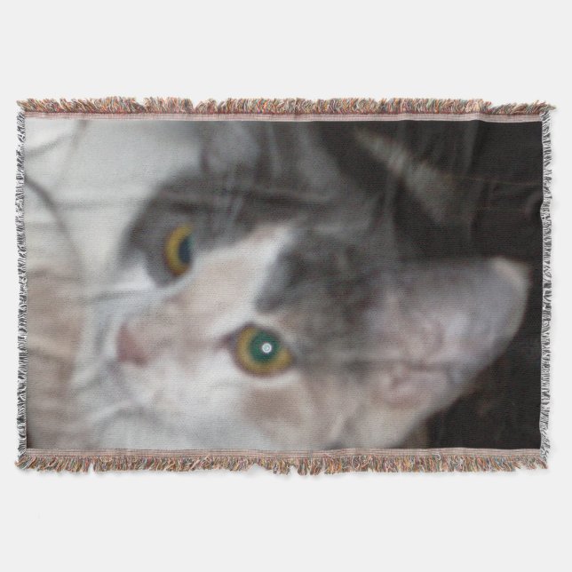 Miss Angel 2 Mysfilt (Framsidan)