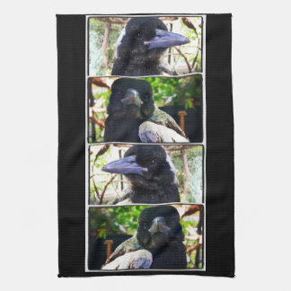 Miss Bub räddade Australien Magpie Kökshandduk