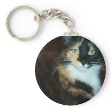 Miss Calico Kattunge