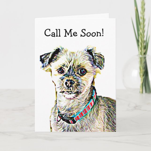 Miss dig, roligt Shitzu Hund Card Kort (Framsida)