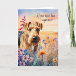 Miss Du Airedale Terrier Hund Wildblomsskugga Kort
