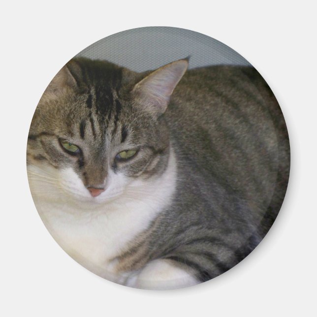 Miss Hannah Magnet (Framsidan)