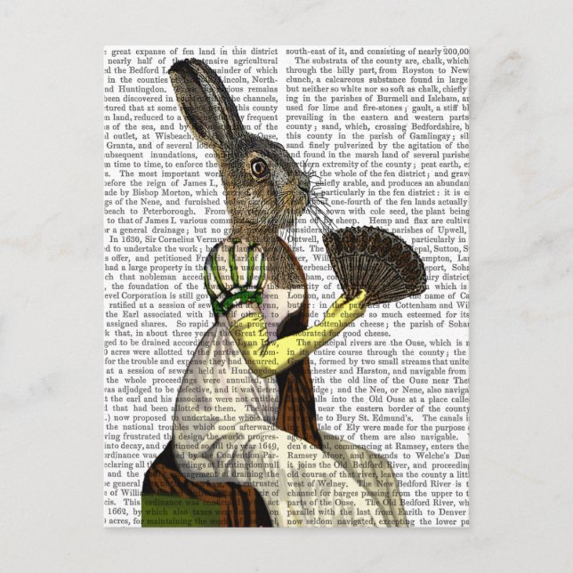 Miss Hare Vykort (Framsida)