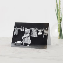 Miss Kitten Doing Tvätt